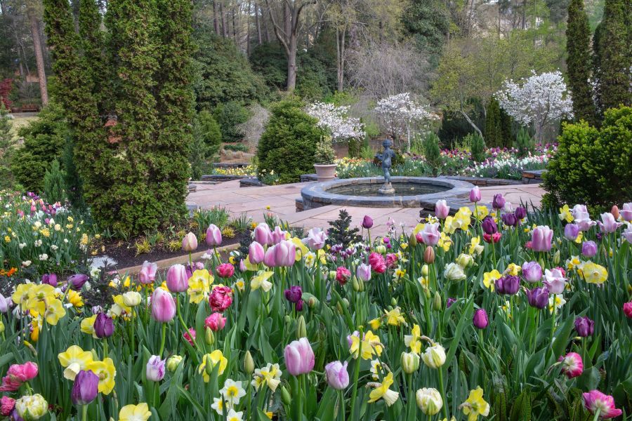 A bed of colorful flowers bloom at Sarah P. Duke Gardens in Durham, NC.