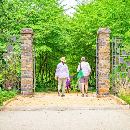 Elderly visitors stroll down Cherry Alleé at Sarah P. Duke Gardens in Durham.