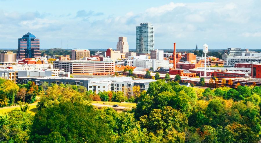Trees line the foreground of a photo of the Durham Skyline on a sunny day with scattered clouds.