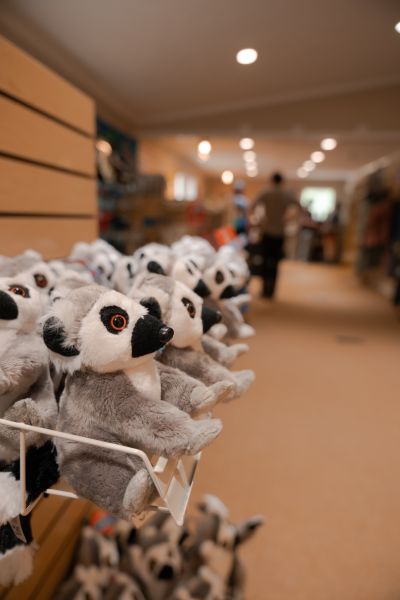 Plush lemurs stack together in the gift shop at the Duke Lemur Center in Durham, NC.