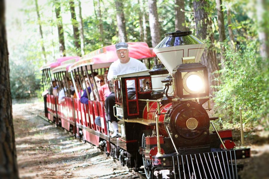 A family-friendly train driven by a conductor through the Museum of Life and Science in Durham.