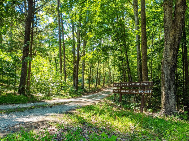Light filters through green leaves to cover a trail and wooden sign at Lake Michie.