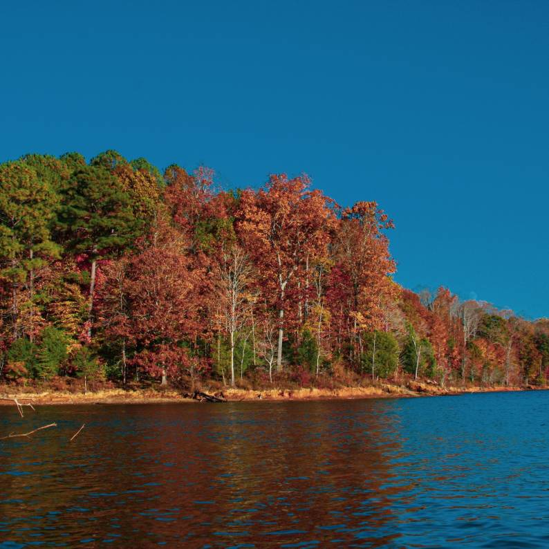 Trees show leaves changing to fall colors over a placid lake on a sunny day at Falls Lake.